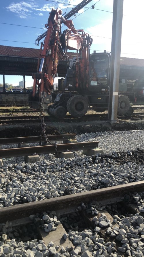 Devis transport de bois rond Bordeaux